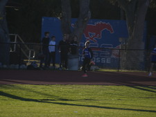Enlarge photo 395