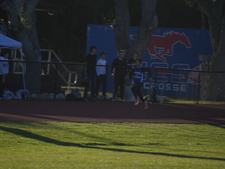 Enlarge photo 396