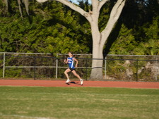 Enlarge photo 447