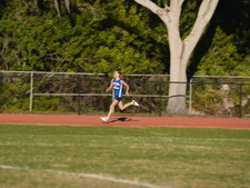 Enlarge photo 448