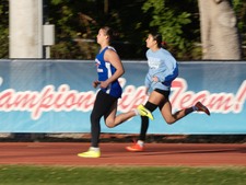 Enlarge photo 455