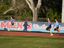 Enlarge photo 459