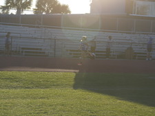 Enlarge photo 463