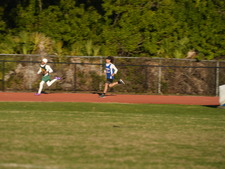 Enlarge photo 475