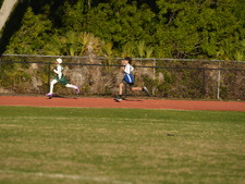 Enlarge photo 477