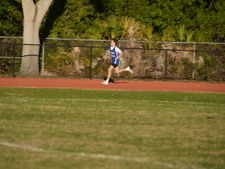 Enlarge photo 485