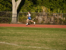 Enlarge photo 487