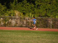 Enlarge photo 495