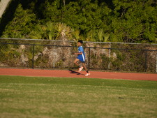 Enlarge photo 497