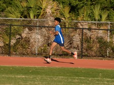 Enlarge photo 498