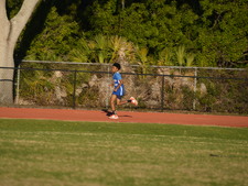 Enlarge photo 499