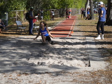 Enlarge photo 246