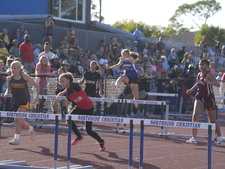 Enlarge photo 316