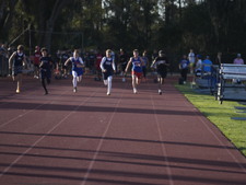 Enlarge photo 415