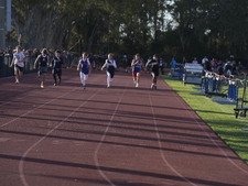 Enlarge photo 430