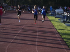 Enlarge photo 462