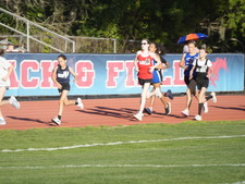 Enlarge photo 480