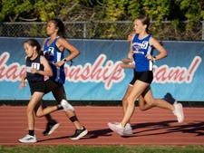 Enlarge photo 490