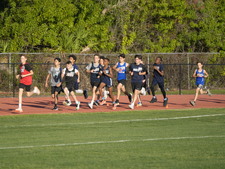Enlarge photo 530