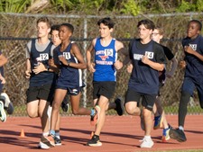 Enlarge photo 529