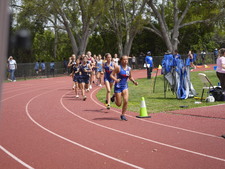 Enlarge photo 186