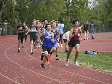 Enlarge photo 445