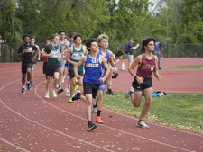 Enlarge photo 447
