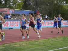 Enlarge photo 475