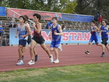 Enlarge photo 482