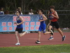 Enlarge photo 491