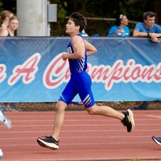 Enlarge photo 502