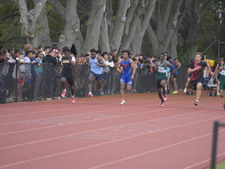 Enlarge photo 828