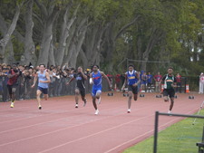 Enlarge photo 857