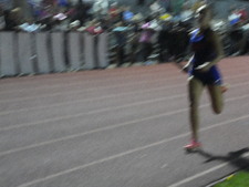 Enlarge photo 1461