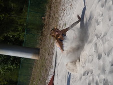 Enlarge photo 52