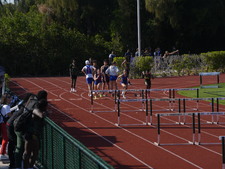 Enlarge photo 95