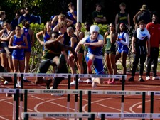 Enlarge photo 167