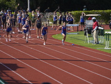 Enlarge photo 235