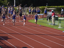 Enlarge photo 236