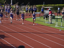 Enlarge photo 237