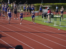 Enlarge photo 238
