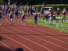 Enlarge photo 239