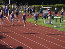 Enlarge photo 240
