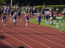 Enlarge photo 241