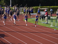 Enlarge photo 242