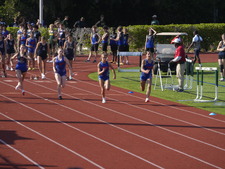 Enlarge photo 243