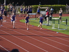 Enlarge photo 245