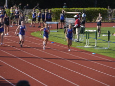 Enlarge photo 246
