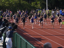 Enlarge photo 261