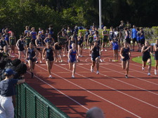 Enlarge photo 266